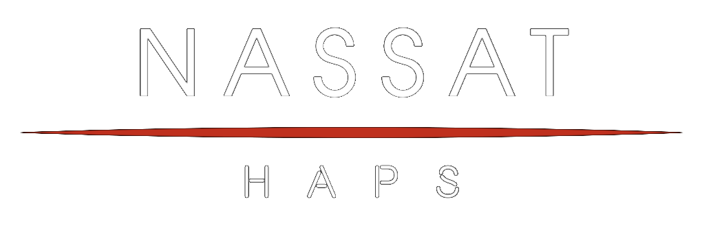 Logo de Nassat
